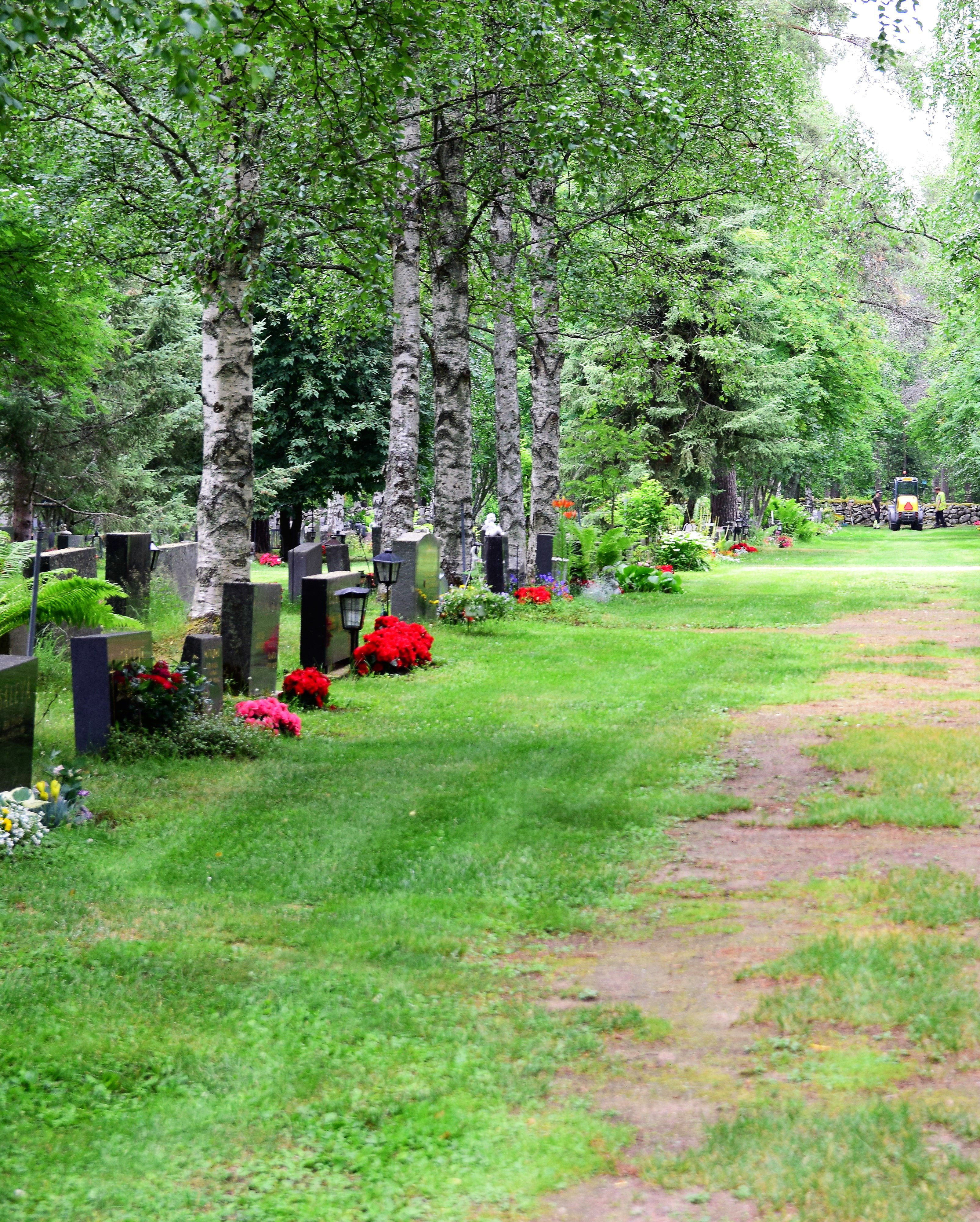 Hautoja ja puita hautausmaan polun varressa.
