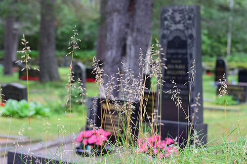 Hautausmaalta hautakivikuva, jossa kukkia, ruohoa ja heiniä.