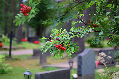 Leipeen hautausmaa Leipeen hautausmaa