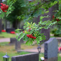 Leipeen hautausmaa Leipeen hautausmaa