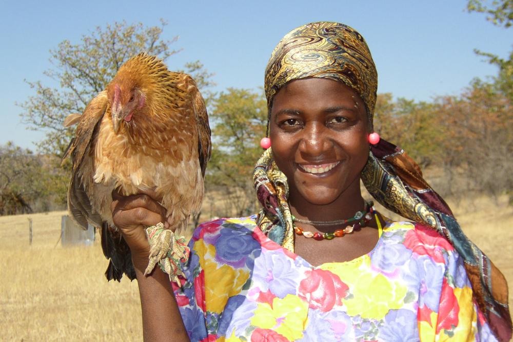 Nainen pitelee kanaa kädessään.
